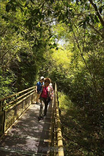 20131017034sc_Iguacu_ref2