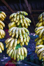 20131020076sc_Rio_to_Petropolis_ref2