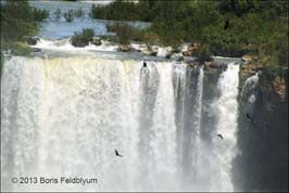 20131018103sc_Iguazu_ref2