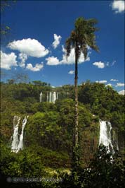 20131018115sc_Iguazu_ref2