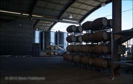 20131009279sc_William_Cole_vinery