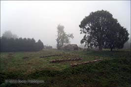 20131011011sc_PuertoVaras_to_Argentina_border