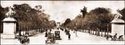 Paris_Avenue des Champs Elysees 02