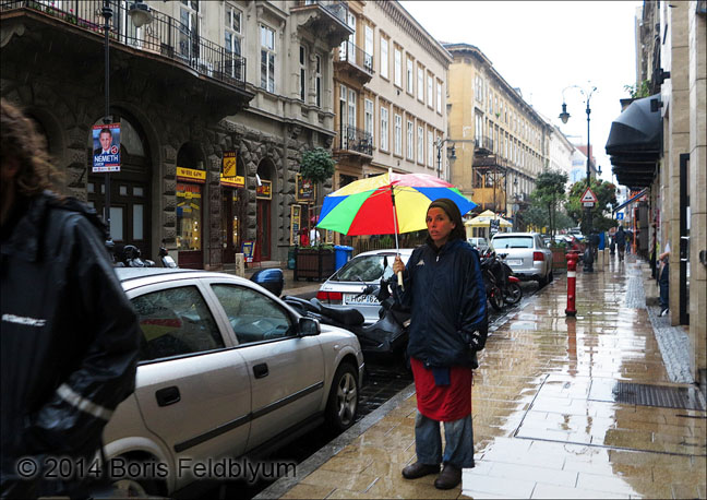 20140901173sc_Budapest_ref2