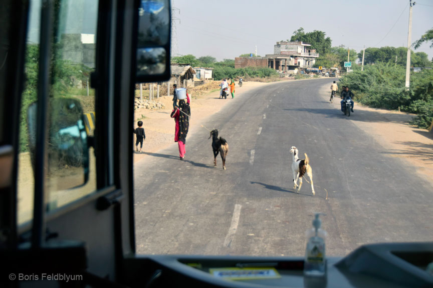 20181025108sc_Ranthambore_to_Jaipur