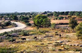 20181023723sc_Abhaneri_to_Ranthambore