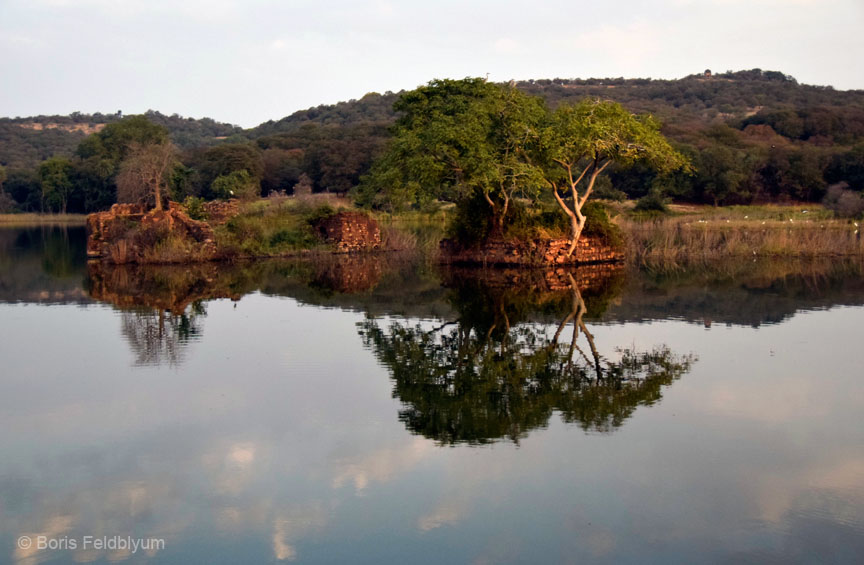 20181024058sc_Ranthambore_Tiger_Reserve