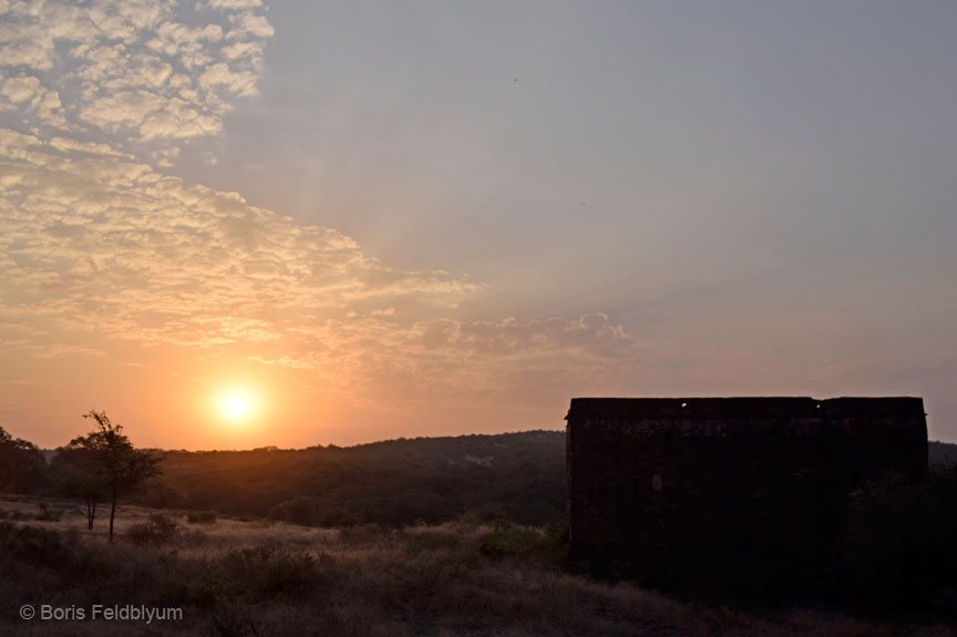 20181024078sc_Ranthambore_Tiger_Reserve