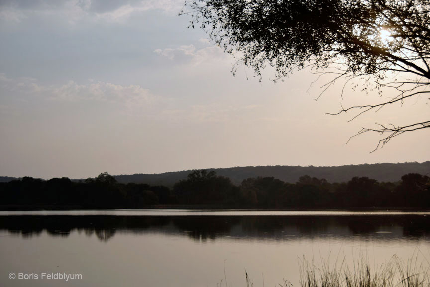 20181024140sc_Ranthambore_Tiger_Reserve