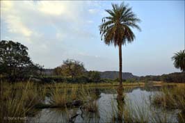 20181024085sc_Ranthambore_Tiger_Reserve