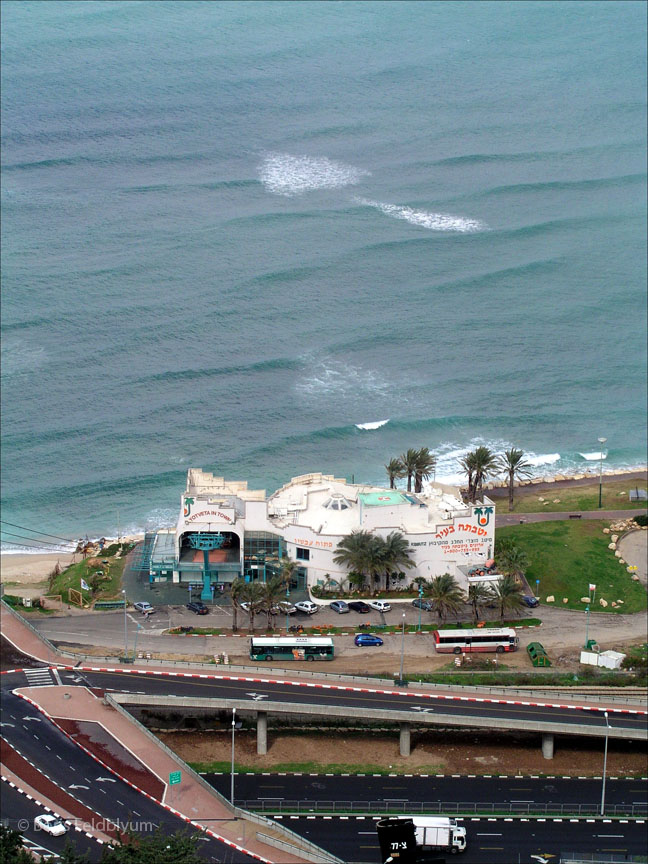 20050203186sc_haifa