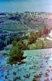 19820328011_[6-4-3]_Jerusalem