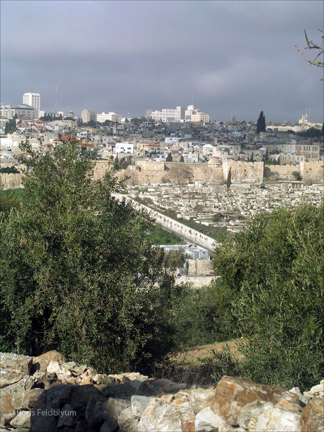 20050202156sc_jerusalem