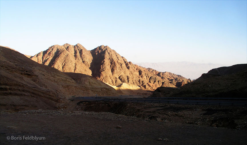 20050128814sc_sinai_border