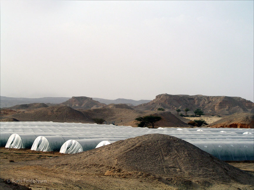 20050130259sc_eilat-rehovot