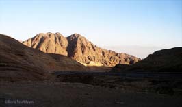 20050128814sc_sinai_border