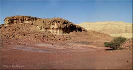 20050129197sc-99_timna