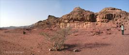 20050129202sc-03_timna