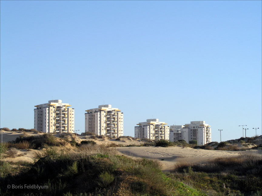 20050127594sc_rishon_letsiyon_carmim