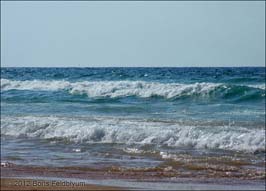 20071031181sc_02_Rishon