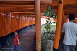 20170710737sc_Kyoto_KushimiInariShrine