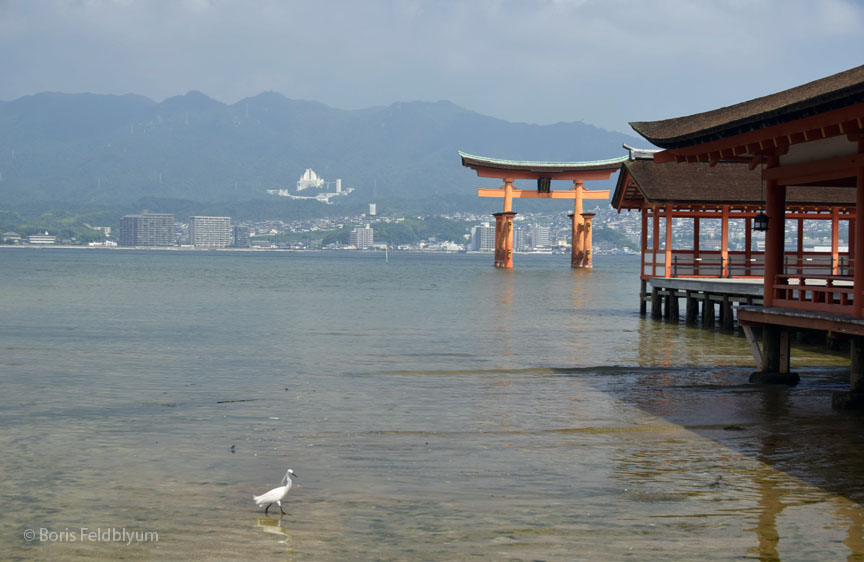 20170713154sc_Miyajima_Is_Itsukushima_Shrine