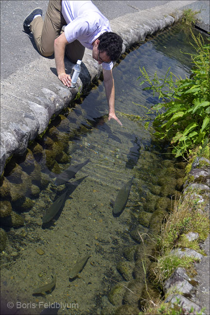 20170719354sc12_Shirakawago