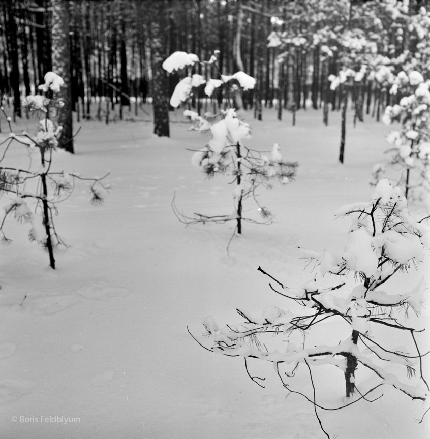19781201017sc_Vilnius_winter