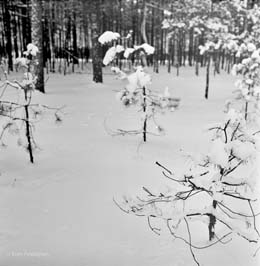 19781201017sc_Vilnius_winter