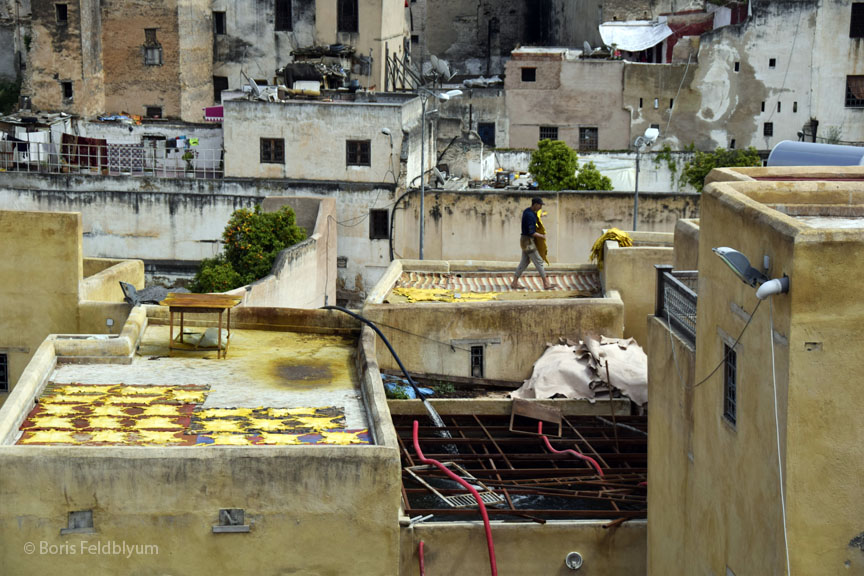 201904070576sc_Fez_Chouara_Tannery