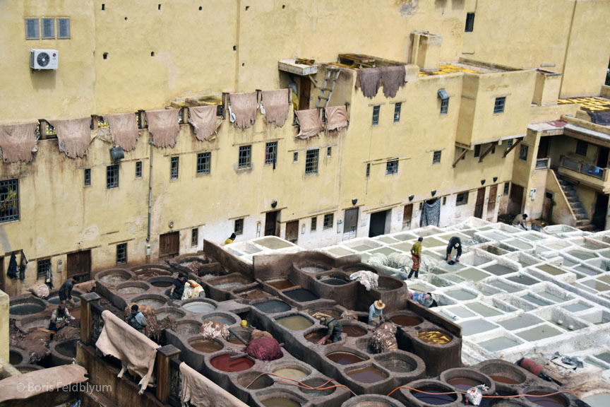 201904070609sc_Fez_Chouara_Tannery