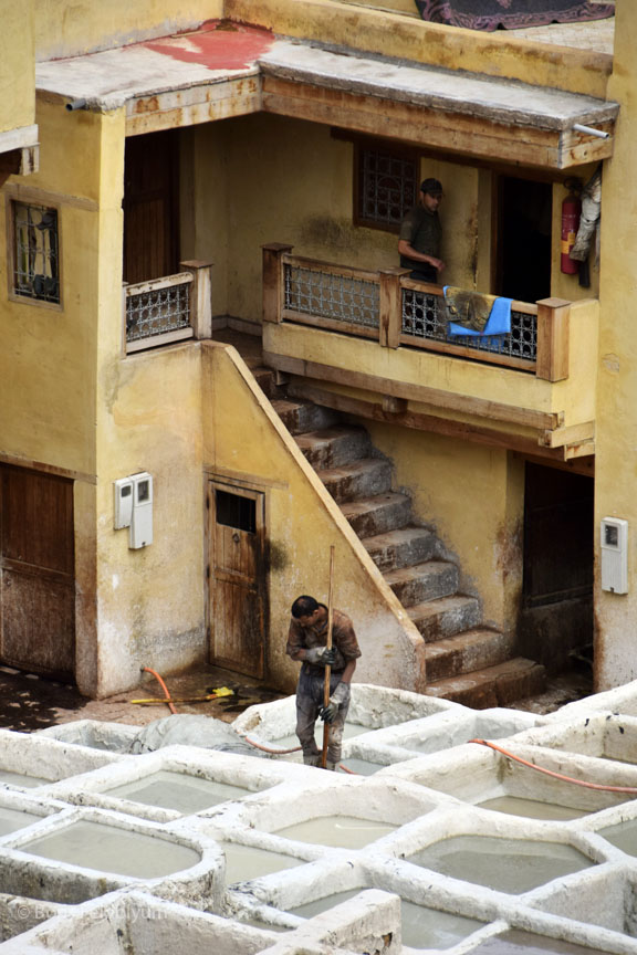 201904070619sc_Fez_Chouara_Tannery