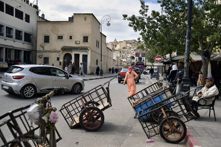 201904070682sc_Fez