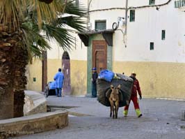 20190407010sc4_Fez_Medina