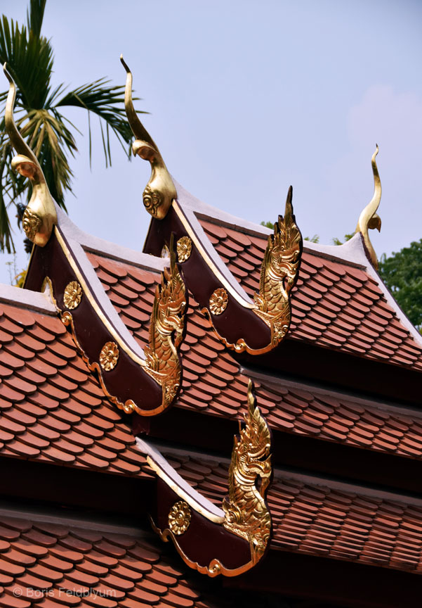 201603111019sc_ChiangRai_WatPraKaew