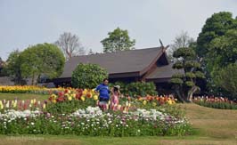 201603120168sc_DoiTung_Royal_Villa