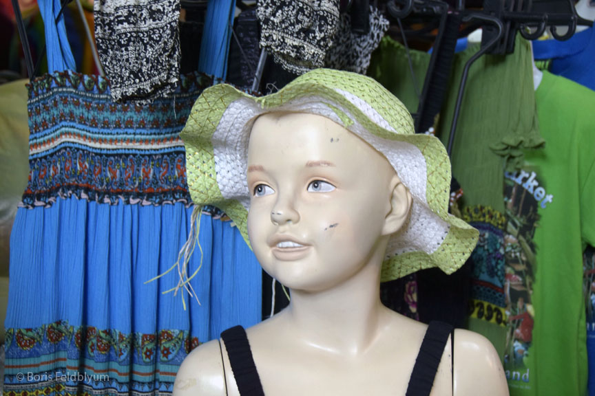 201603160559sc_Damnoen_Saduak_market