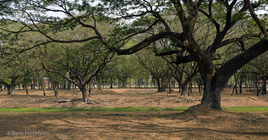 201603140273sc_Sukhothai_Historical_Park
