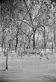 19661103007sc__Fastov_park