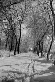 19661103010sc__Fastov_park