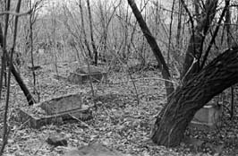 19711123001sc__Kiev_Jewish_Cemetery