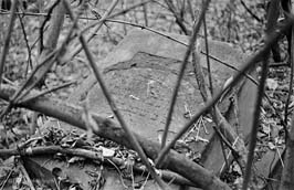 19711123005sc__Kiev_Jewish_Cemetery