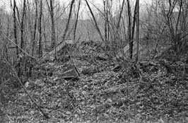 19711123007sc__Kiev_Jewish_Cemetery