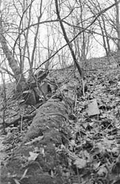 19711123010sc__Kiev_Jewish_Cemetery