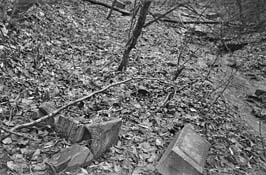 19711123012sc__Kiev_Jewish_Cemetery