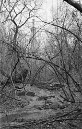 19711123015sc__Kiev_Jewish_Cemetery