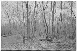 19711123021sc__Kiev_Jewish_Cemetery