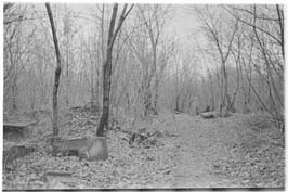 19711123022sc__Kiev_Jewish_Cemetery