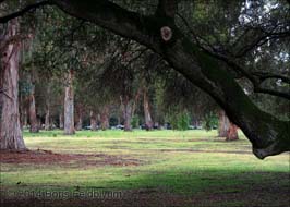 20140425082sc_Palo_Alto_ref2