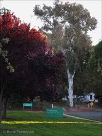 20140428272sc_Palo_Alto